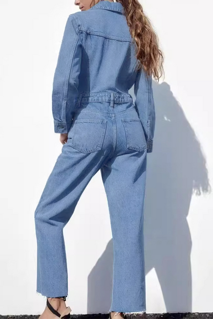 Casual Street Pocket Buttons Turndown Collar Long Sleeve Loose Denim Jumpsuits