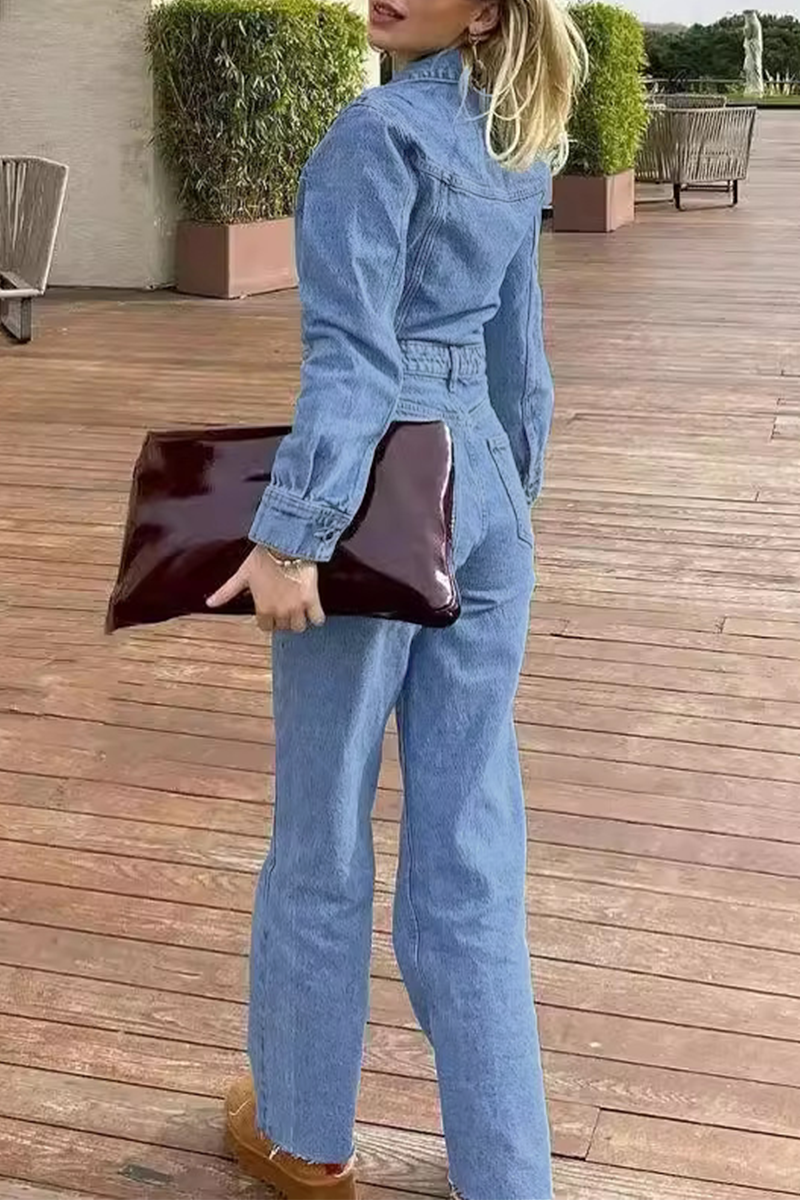 Casual Street Pocket Buttons Turndown Collar Long Sleeve Loose Denim Jumpsuits