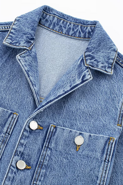 Casual Street Pocket Buttons Turndown Collar Long Sleeve Loose Denim Jumpsuits