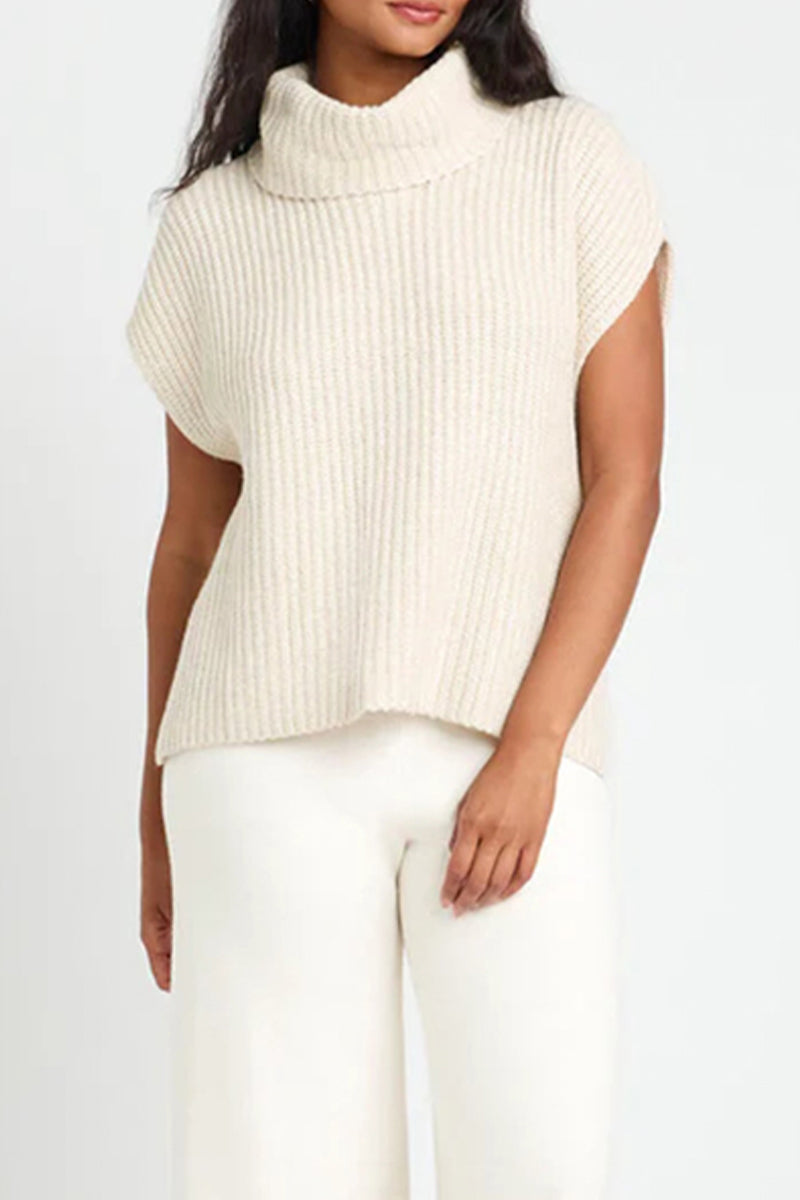 Casual Solid Color Turtleneck Sweaters(3 Colors)