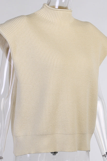 Casual Solid Turtleneck Sweaters (8 Colors)