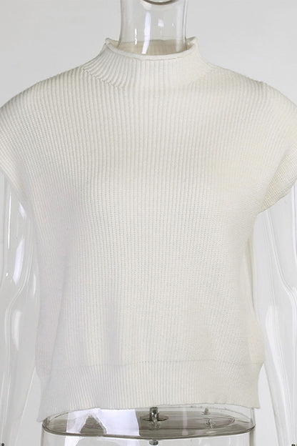 Casual Solid Turtleneck Sweaters (8 Colors)