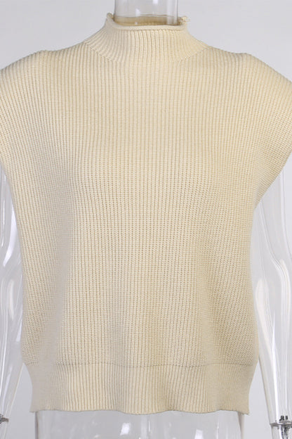 Casual Solid Turtleneck Sweaters (8 Colors)