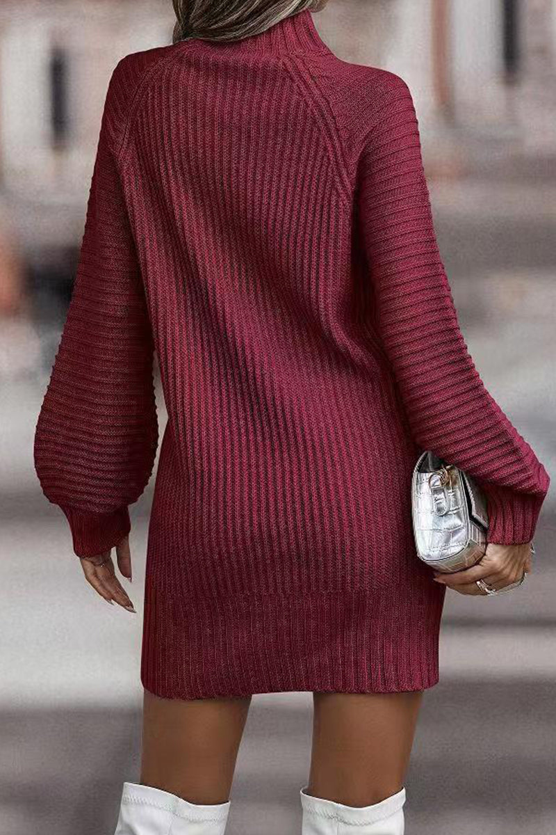 Casual Solid Patchwork Turtleneck One Step Skirt Dresses